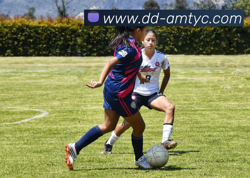 数据防护可视化